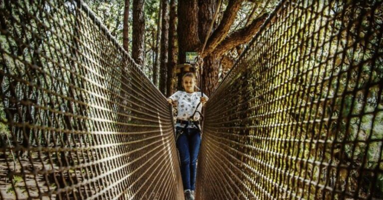 Tenerife: Forestal Park Tenerife Entry Ticket - The Sum Up