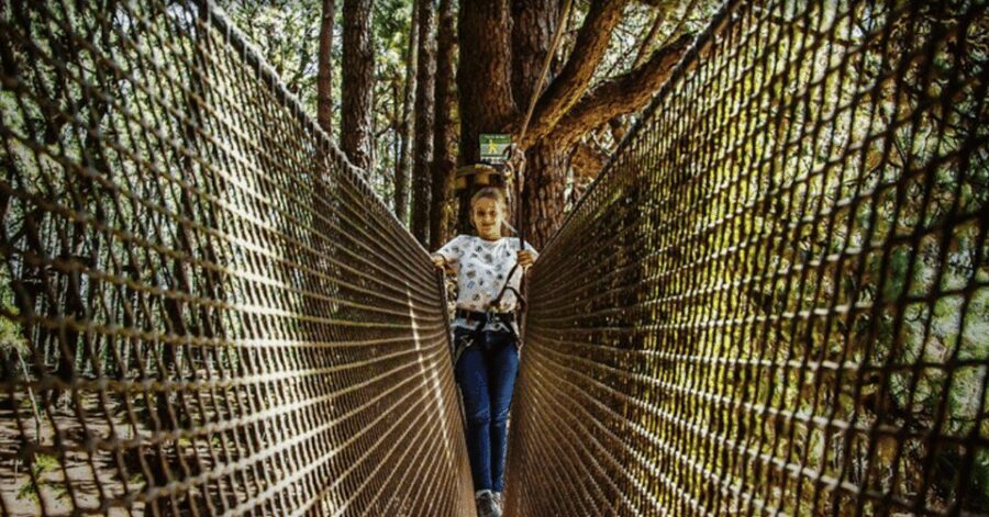 Tenerife: Forestal Park Tenerife Entry Ticket - The Sum Up