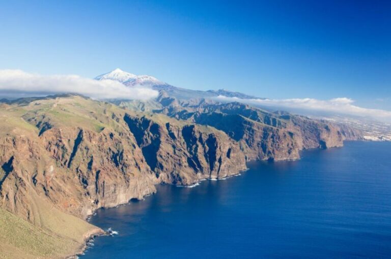 Tenerife: Full-Day Guided Island Tour - Transport and Comfort