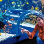 Tenerife: Gran Canaria Full-Day Guided Tour with Aquarium - Visiting Poema del Mar Aquarium in Las Palmas