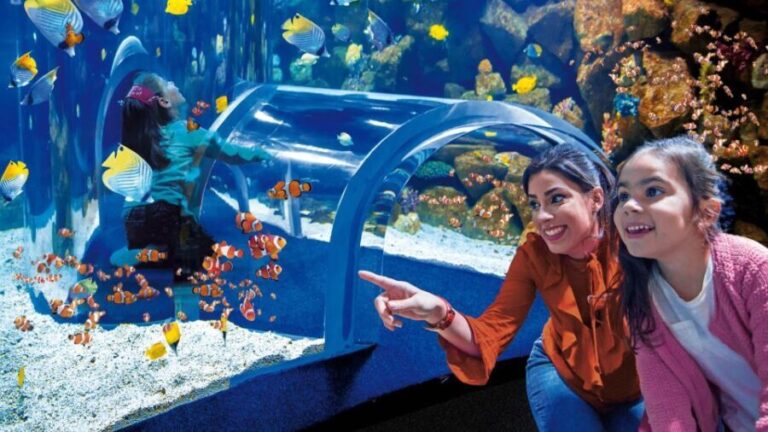 Tenerife: Gran Canaria Full-Day Guided Tour with Aquarium - Visiting Poema del Mar Aquarium in Las Palmas