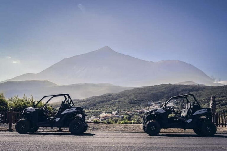 Tenerife: Guided Buggy Discovery Tour around Mount Teide - The Sum Up