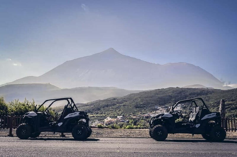 Tenerife: Guided Buggy Discovery Tour around Mount Teide - The Sum Up