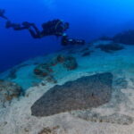 Tenerife: Guided Dive and Scooter Experience - The Value of the Guided Scooter Dive Experience