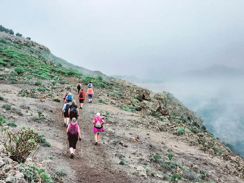 Tenerife Guided Hike: Teno Highlands & Lunar Landscape - Who Should Consider This Tour?