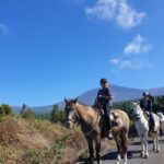 Tenerife: Guided Horseback Riding Tour to the Lomo Forest - Detailed Tour Breakdown