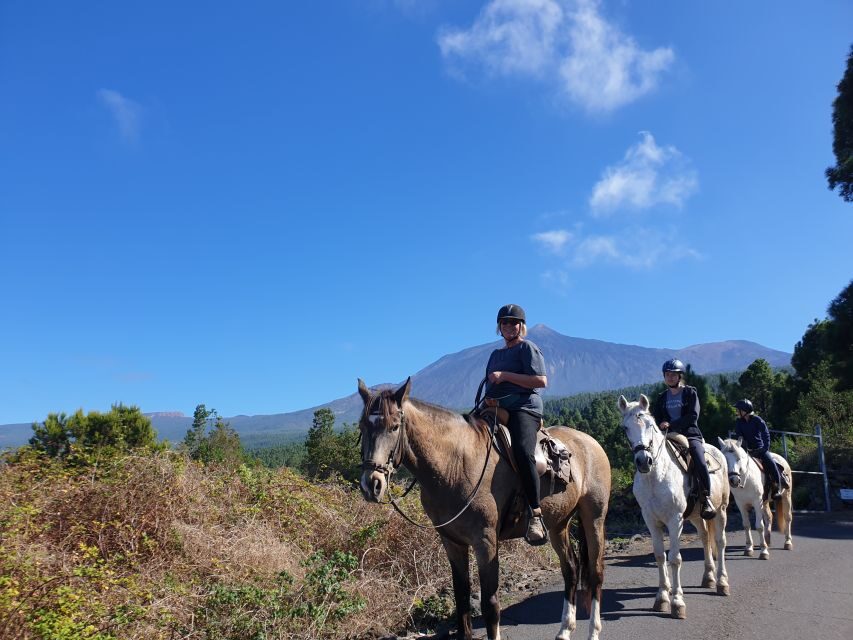 Tenerife: Guided Horseback Riding Tour to the Lomo Forest - Detailed Tour Breakdown