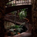 Tenerife: Guided tour with tasting of 6 wines - An authentic glance at Tenerife’s wine identity