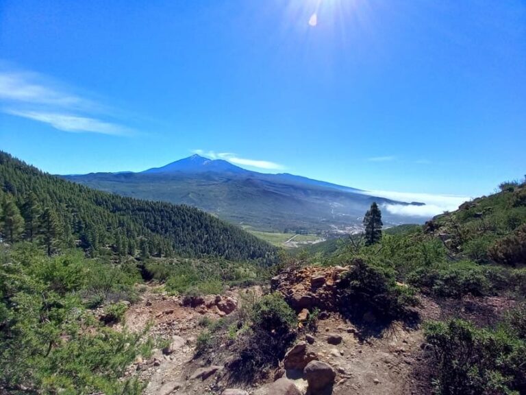 Tenerife: Hiking Above the Village of Masca - Who Will Love This Tour?