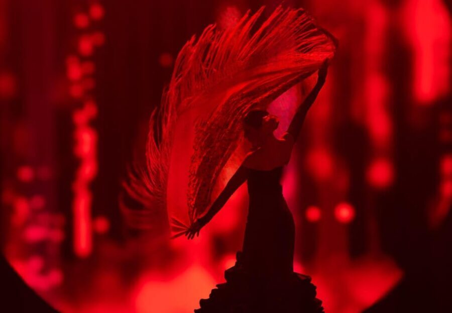 Tenerife: History The Evolution of Music Show Entry Ticket - Authentic Insights from Reviewers