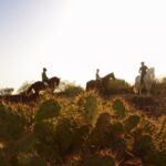 Tenerife: Horseback Ride with Instructor - What’s Included and What You Should Know