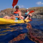 Tenerife: Kayak and Snorkel with Turtles with Free Videos - What Makes This Tour Stand Out?