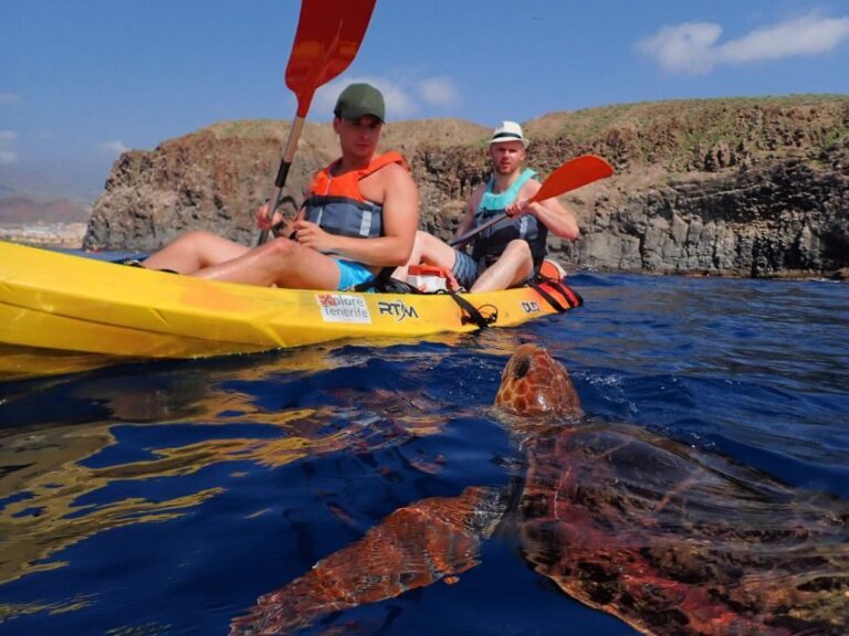 Tenerife: Kayak and Snorkel with Turtles with Free Videos - What Makes This Tour Stand Out?