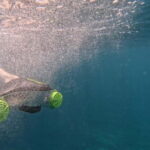 Tenerife: kayak tour with animals and underwater scooters - The Value of This Tenerife Kayak Tour