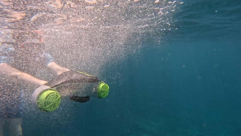 Tenerife: kayak tour with animals and underwater scooters - The Value of This Tenerife Kayak Tour