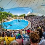 Tenerife: Loro Parque Entry Ticket - A Detailed Look at What to Expect at Loro Parque