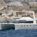 Tenerife: Marine-Life Tour with Transfer, Buffet and Drinks - The Practicalities: What You Need to Know