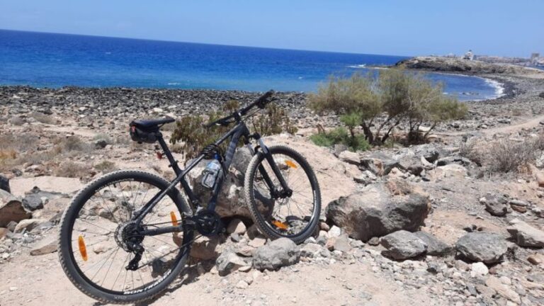 Tenerife: Mountain Bike Rental with Hotel Delivery - Who Will Love This Experience?