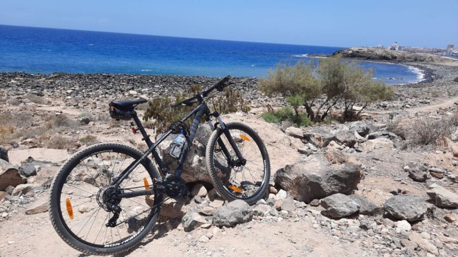 Tenerife: Mountain Bike Rental with Hotel Delivery - Who Will Love This Experience?