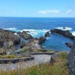 Tenerife: North Coast Landscapes Private Day Tour - The Value of the Tour