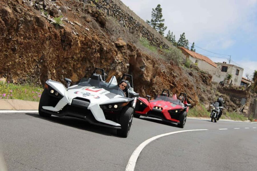 Tenerife: Pino Gordo Self-Drive Slingshot Tour - Who Would Enjoy This Tour?