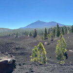 Tenerife: premium e-bike ride at Chineyro volcanic area - What Sets This Tour Apart