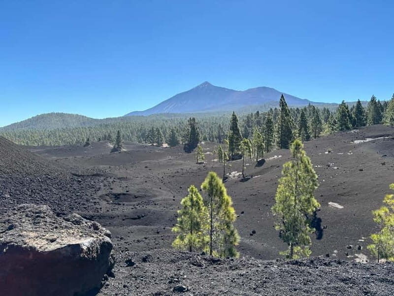 Tenerife: premium e-bike ride at Chineyro volcanic area - What Sets This Tour Apart