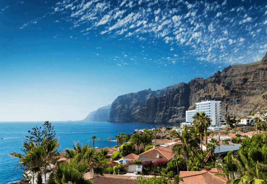 Tenerife: Private Day Tour of the Island with Hotel Pickup - Practical Details & What to Expect