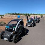 Tenerife: Private Renault Twizy Tour - The Practical Side: What to Expect