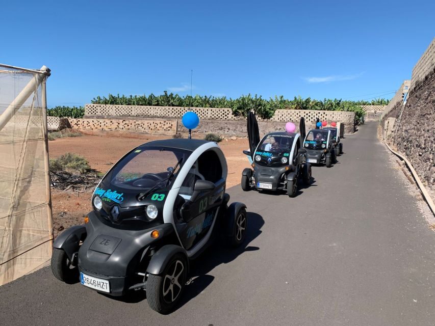 Tenerife: Private Renault Twizy Tour - The Practical Side: What to Expect