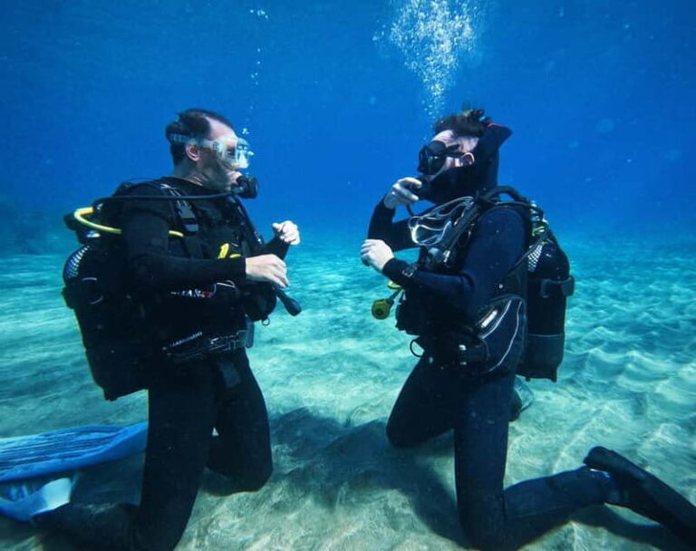 Tenerife: Private Scuba DivingCertified Instructor & Photos - Who Is This Tour Best For?