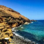 Tenerife Private Tour: Full-Day Volcanic South - A detailed look at the volcanic south of Tenerife