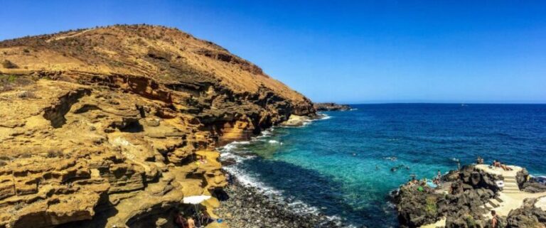 Tenerife Private Tour: Full-Day Volcanic South - A detailed look at the volcanic south of Tenerife