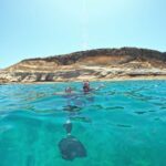 Tenerife: Puerto Colon Snorkel Safari by Speed Boat - Why This Tour Might Be Perfect for You