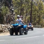 Tenerife: Quad Adventure Tour in Teide National Park - Final Thoughts: Is It Worth It?