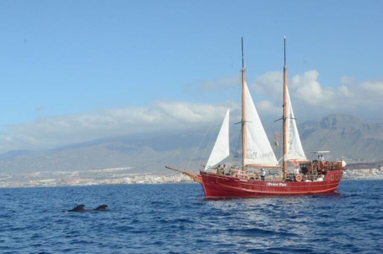 Tenerife: Respectful Whale Watching Pirate Cruise + Swim - What Makes This Tour Special?
