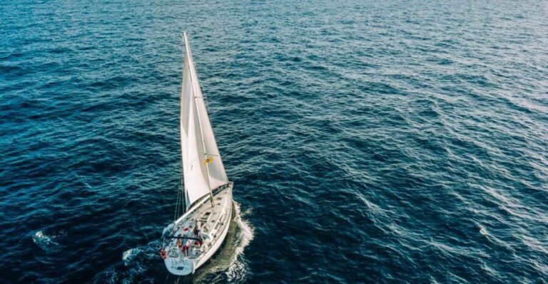Tenerife: Sailboat Tour Whale Watching Food and Snorkeling - Who Will Love This Tour?