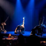 Tenerife: Scandal Dinner Show Entry Ticket and 5-Course Meal - An In-Depth Look at the Experience