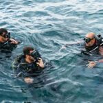 Tenerife: Scuba Diving Experience with Instructor and Gear - The Dive Itself: What to Expect