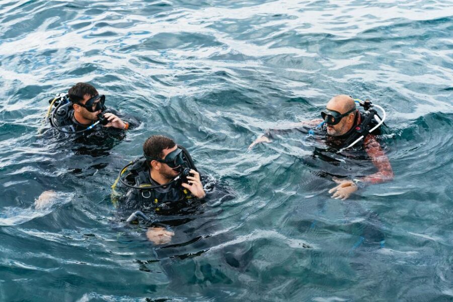 Tenerife: Scuba Diving Experience with Instructor and Gear - The Dive Itself: What to Expect