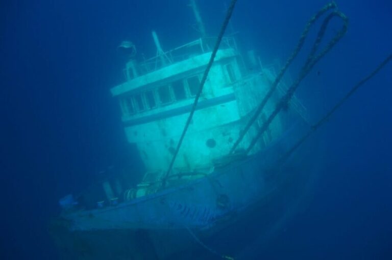 Tenerife Scuba Diving for Certified Divers - Itinerary Breakdown