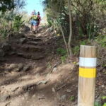 Tenerife: Senderismo Anaga, Bosque Mágico, Reserva Biosfera - What Makes This Tour Special