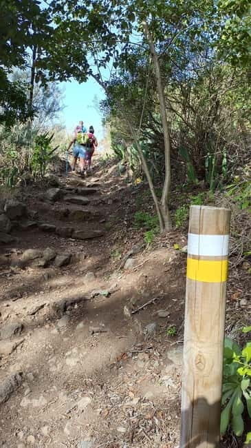 Tenerife: Senderismo Anaga, Bosque Mágico, Reserva Biosfera - What Makes This Tour Special