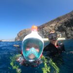 Tenerife: Snorkeling Trip in a Turtle Habitat - What to Expect from the Tour