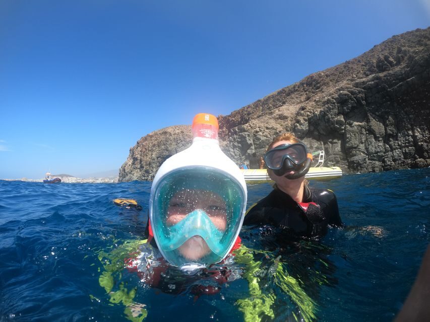 Tenerife: Snorkeling Trip in a Turtle Habitat - What to Expect from the Tour