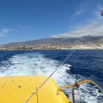 Tenerife South: Parascending Experience with Boat Ride - The Detailed Itinerary