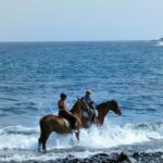 Tenerife South: Private Horseback Riding to the Coast - What to Expect During the Ride