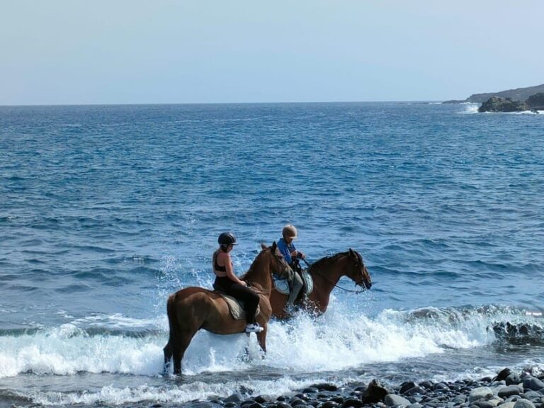 Tenerife South: Private Horseback Riding to the Coast - What to Expect During the Ride