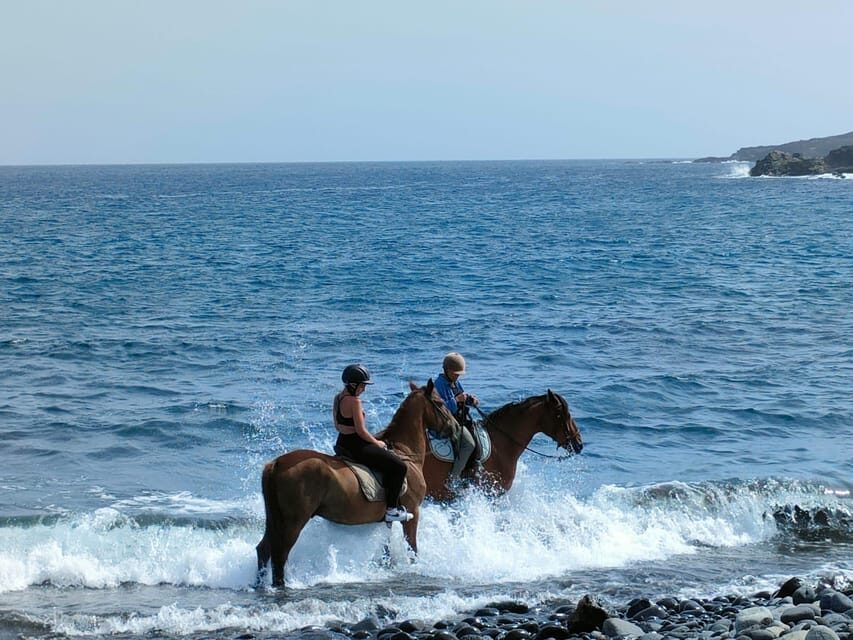 Tenerife South: Private Horseback Riding to the Coast - What to Expect During the Ride