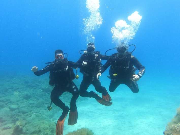 Tenerife south: Scuba Dive for beginners in Adeje - Easy, Smooth Start at the Dive Center